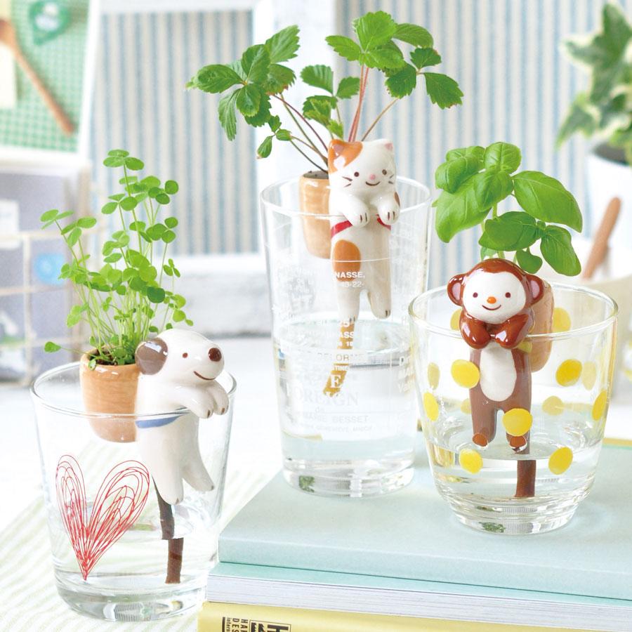 Noted Shippon Plant Growing Kit - Monkey (Sweet Basil)