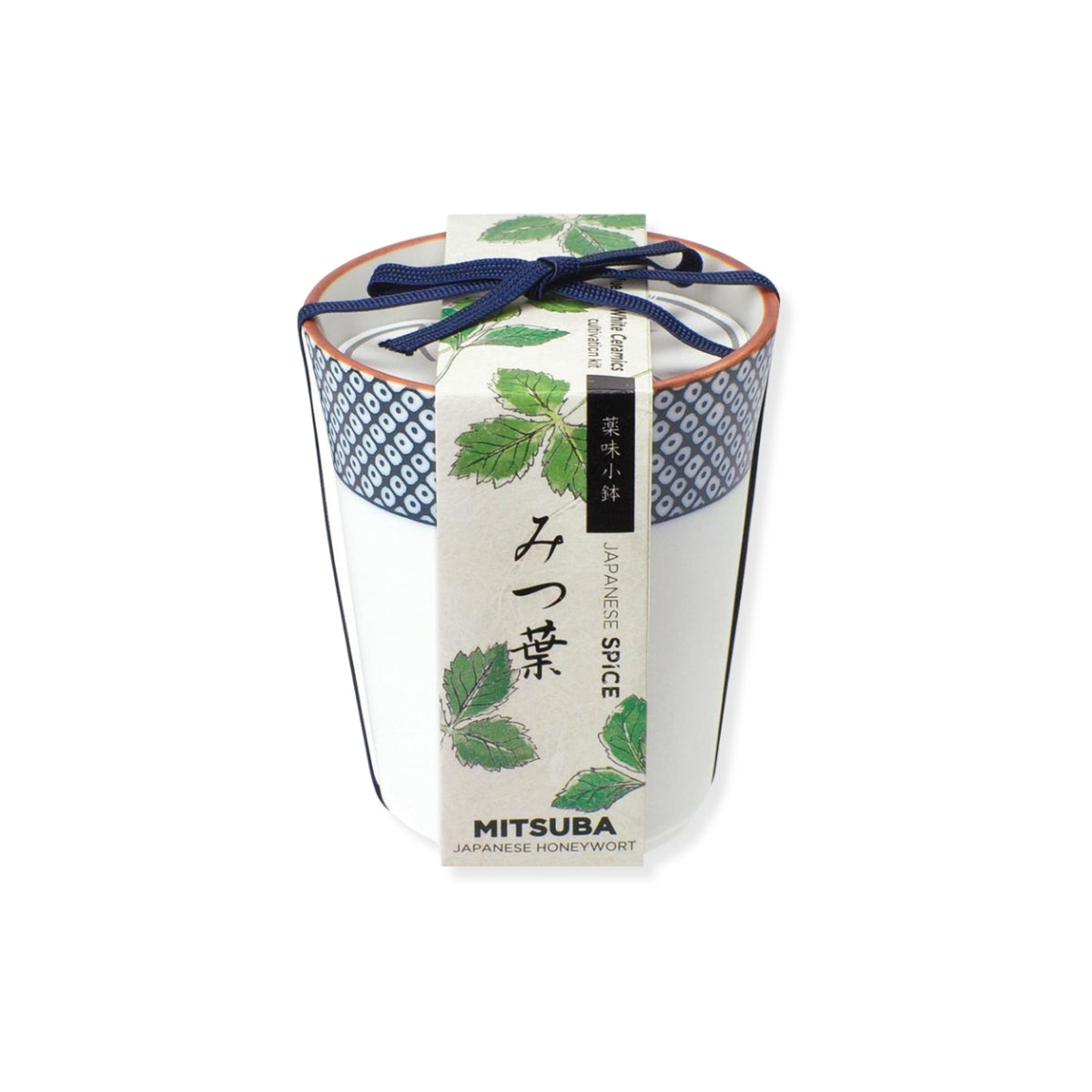 Noted Yakumi Japanese Spice Growing Kit - Mitsuba (Japanese Parsley)