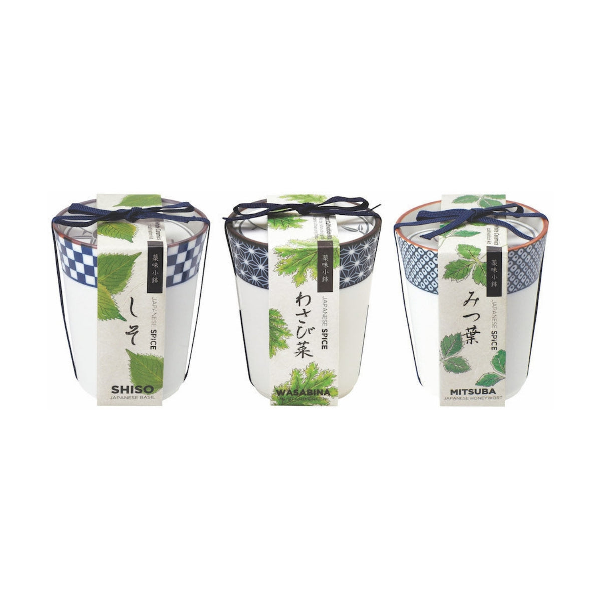 Noted Yakumi Japanese Spice Growing Kit - Shiso (Japanese Basil)