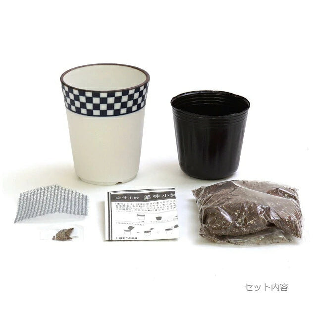 Noted Yakumi Japanese Spice Growing Kit - Shiso (Japanese Basil)