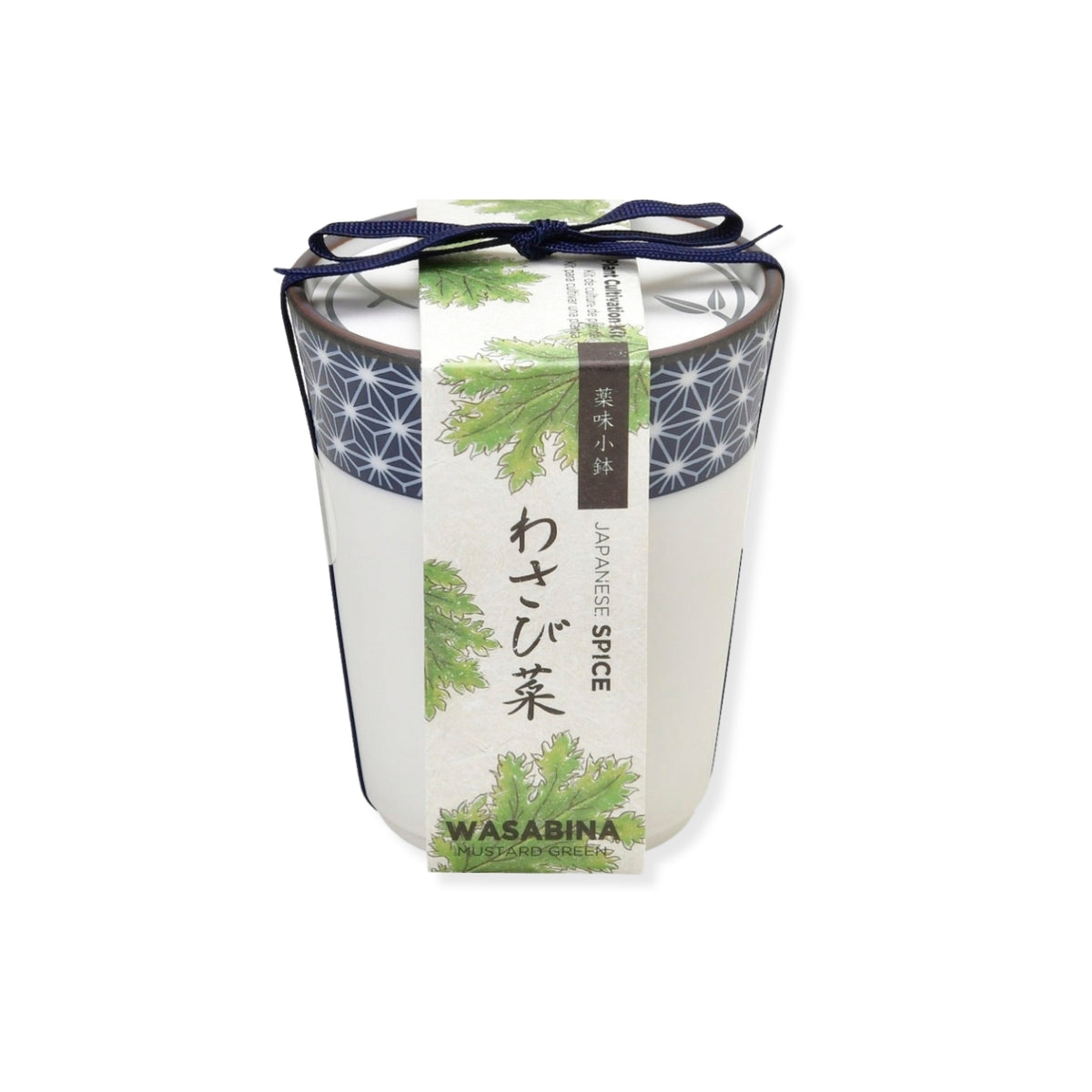 Noted Yakumi Japanese Spice Growing Kit - Wasabina (Wasabi Flavoured Greens)