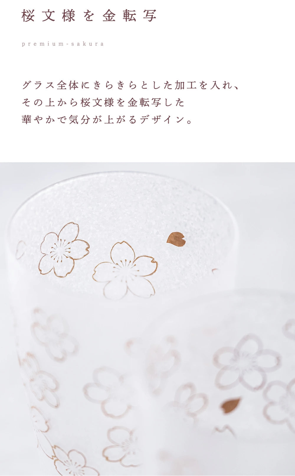 Premium Sakura Glass Beer Long Tumbler 415ml Gift Set