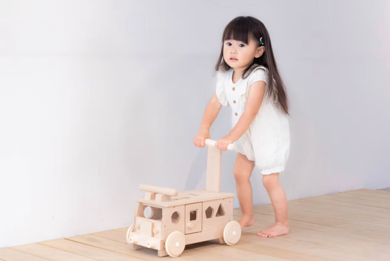 Tetetoys Puzzle Bus Rider & Walker