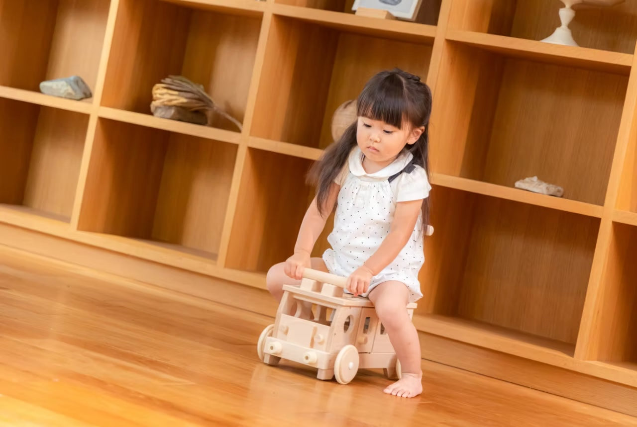 Tetetoys Puzzle Bus Rider & Walker