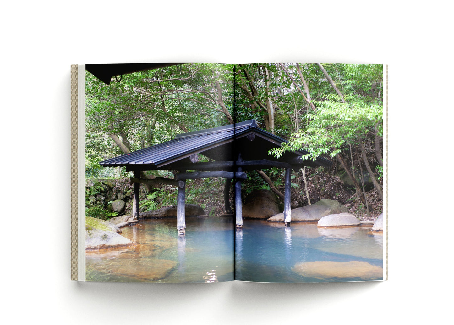 Ryokan: The New Voices Of Hospitality