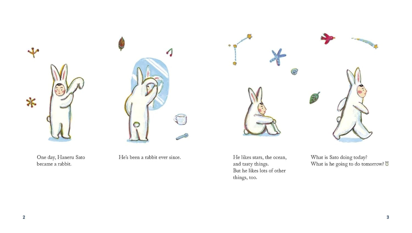 Sato the Rabbit