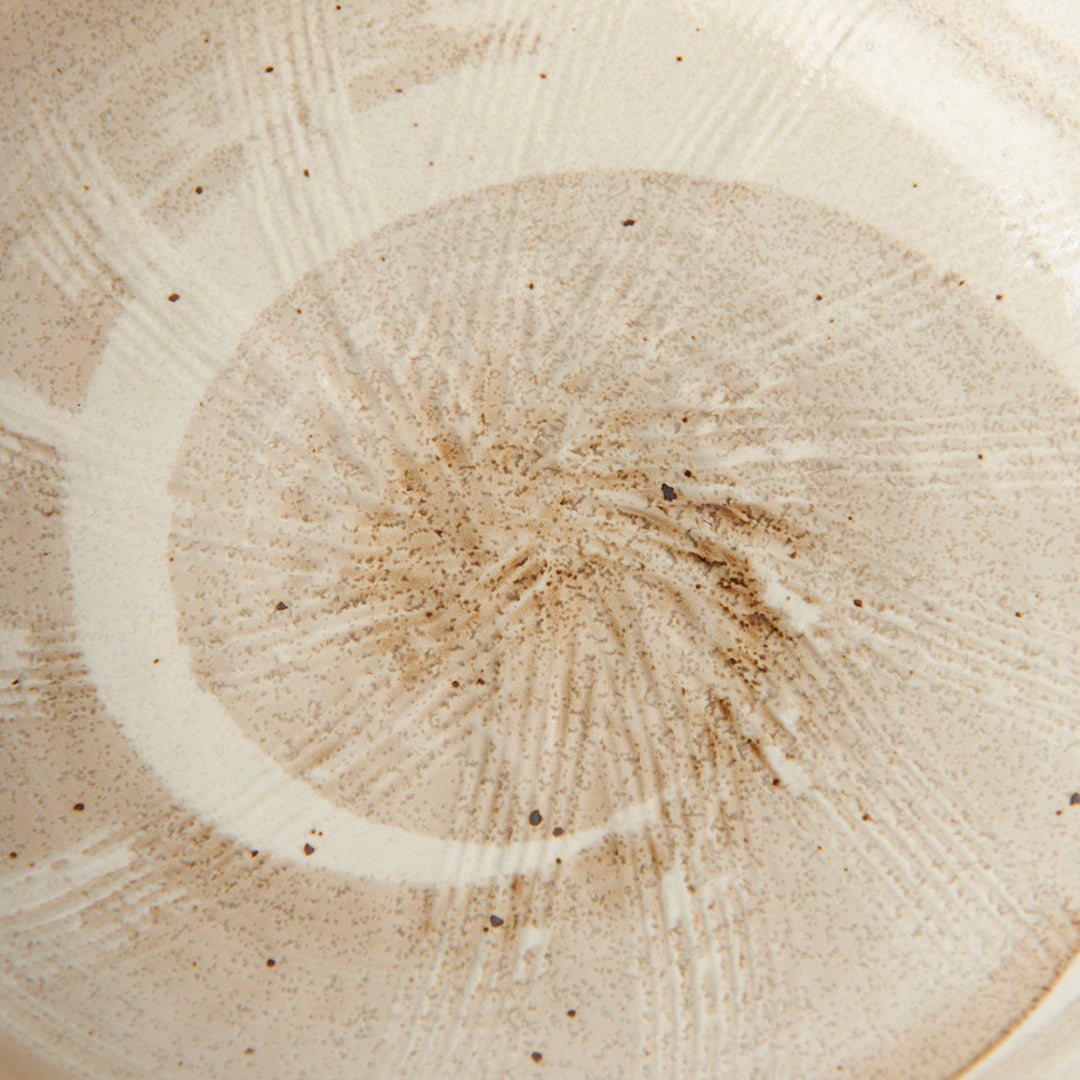 Close-up of a tree stump with annual growth rings