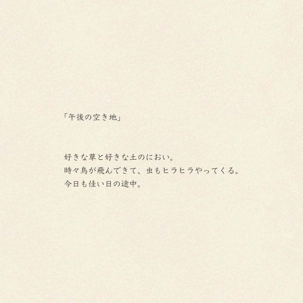 Tea Towel: Afternoon Vacant Lot /Grey 45x70cm