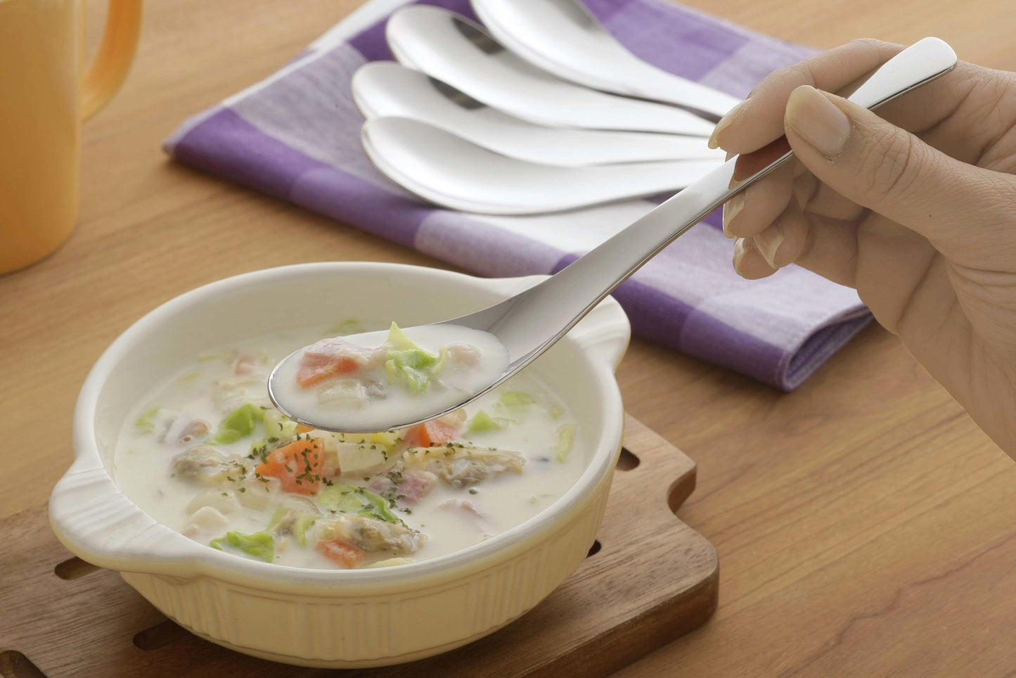 Tsubame Mirror Polished Stainless Steel Classic Renge Spoon 17.7cm