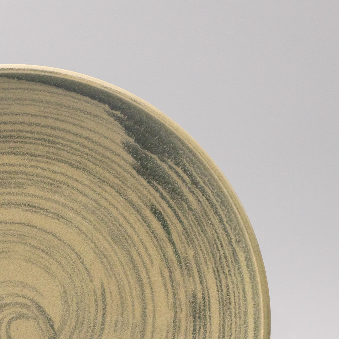 Washed Fern Dinner Plate 26cm