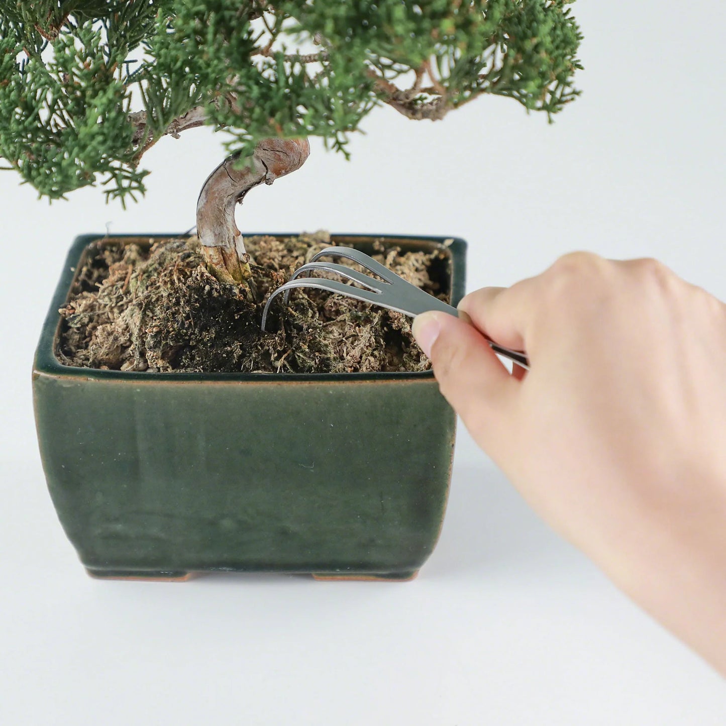 Wazakura Japanese Bonsai Care Tool Set of 3
