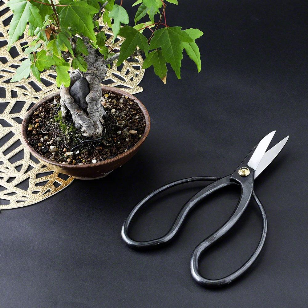Wazakura Japanese Bonsai Care Tool Set of 3
