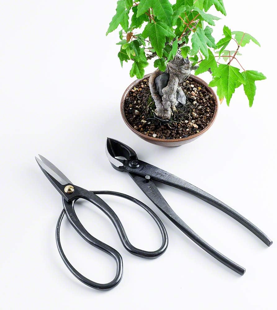 Wazakura Japanese Bonsai Concave Branch Cutter 20cm