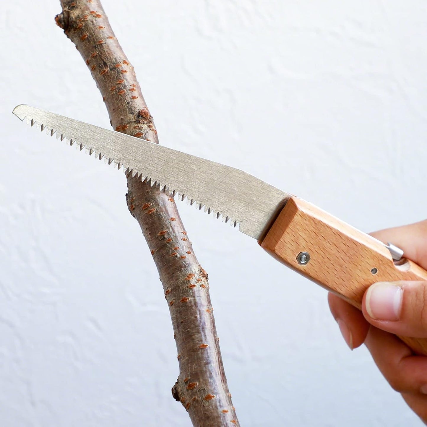 Wazakura Japanese Bonsai Folding Saw 25cm