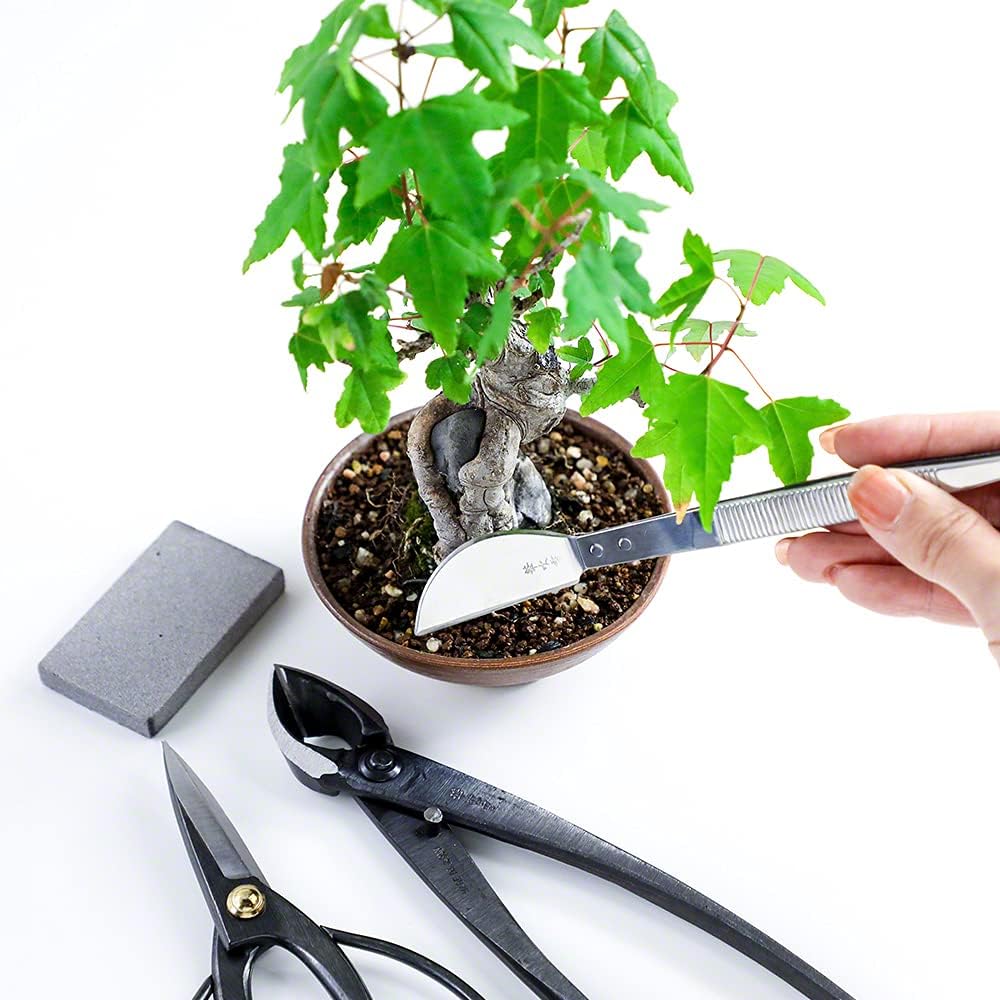 Wazakura Japanese Bonsai Tweezers with Spatula 21cm