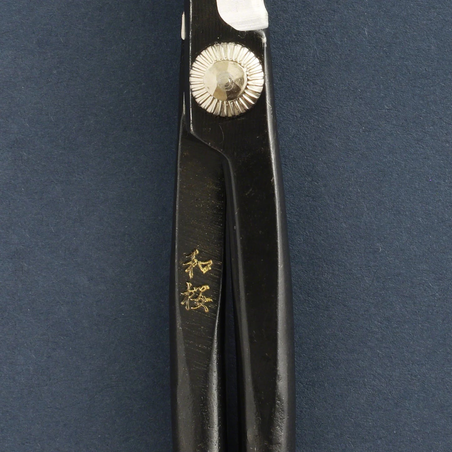 Wazakura Yasugi Steel Bonsai Twig Scissors 21cm