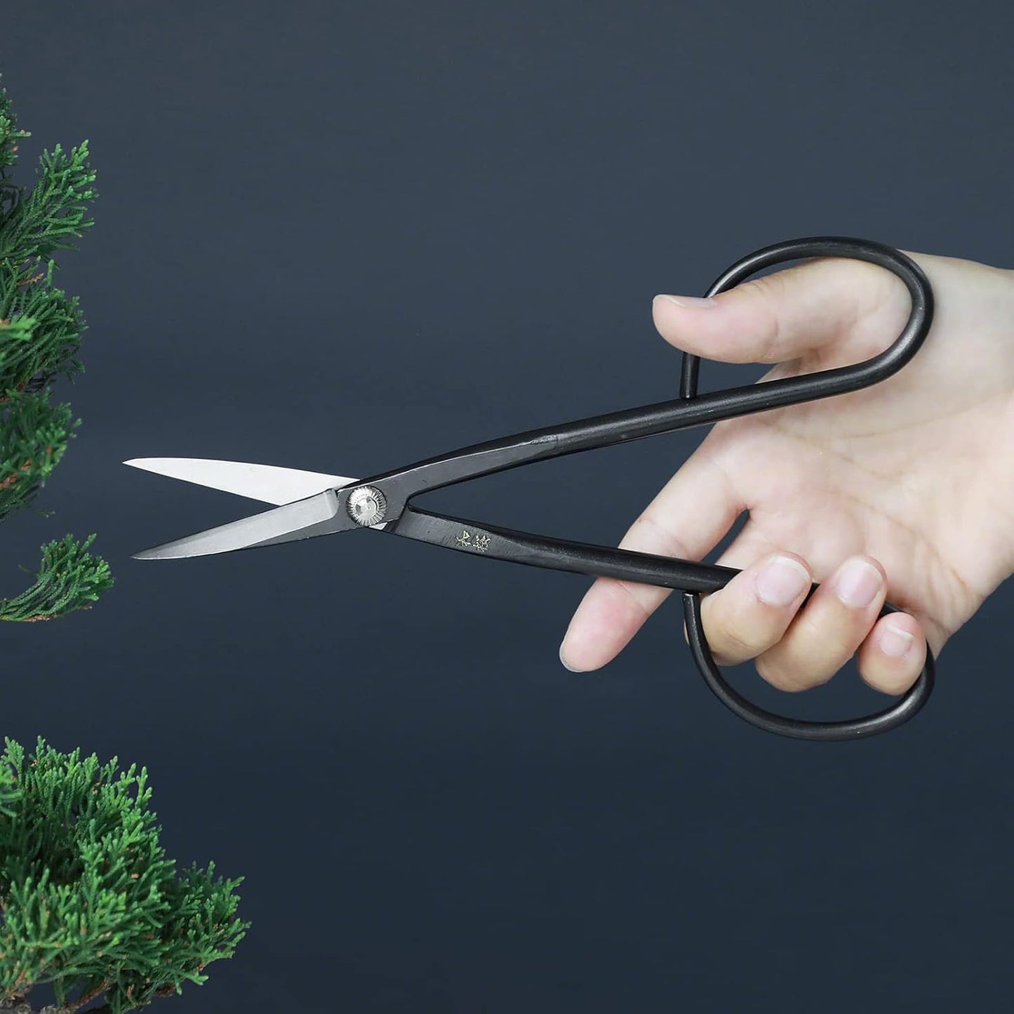 Wazakura Yasugi Steel Bonsai Twig Scissors 21cm