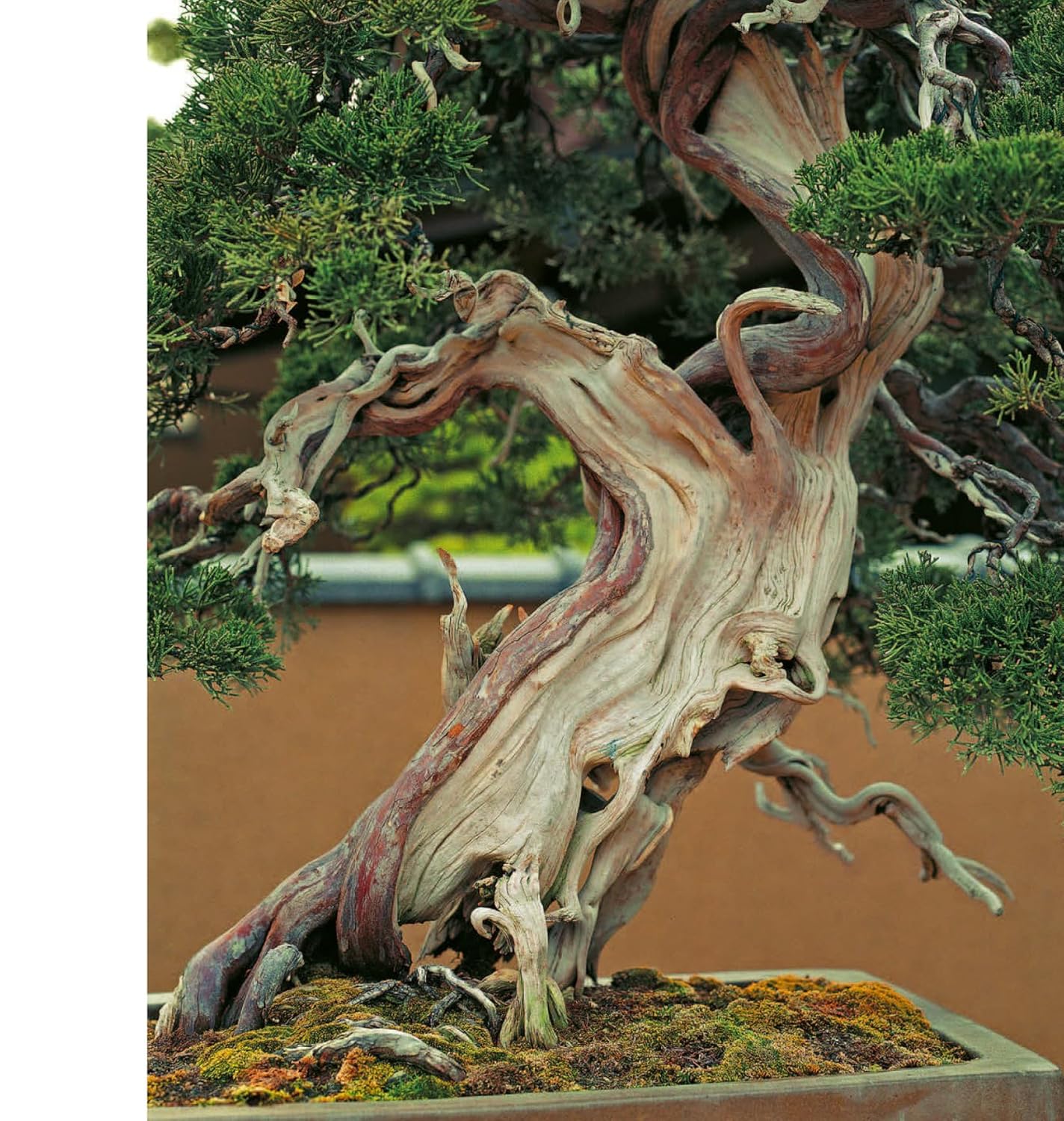 Japanese Gardens: Tranquility, Simplicity, Harmony