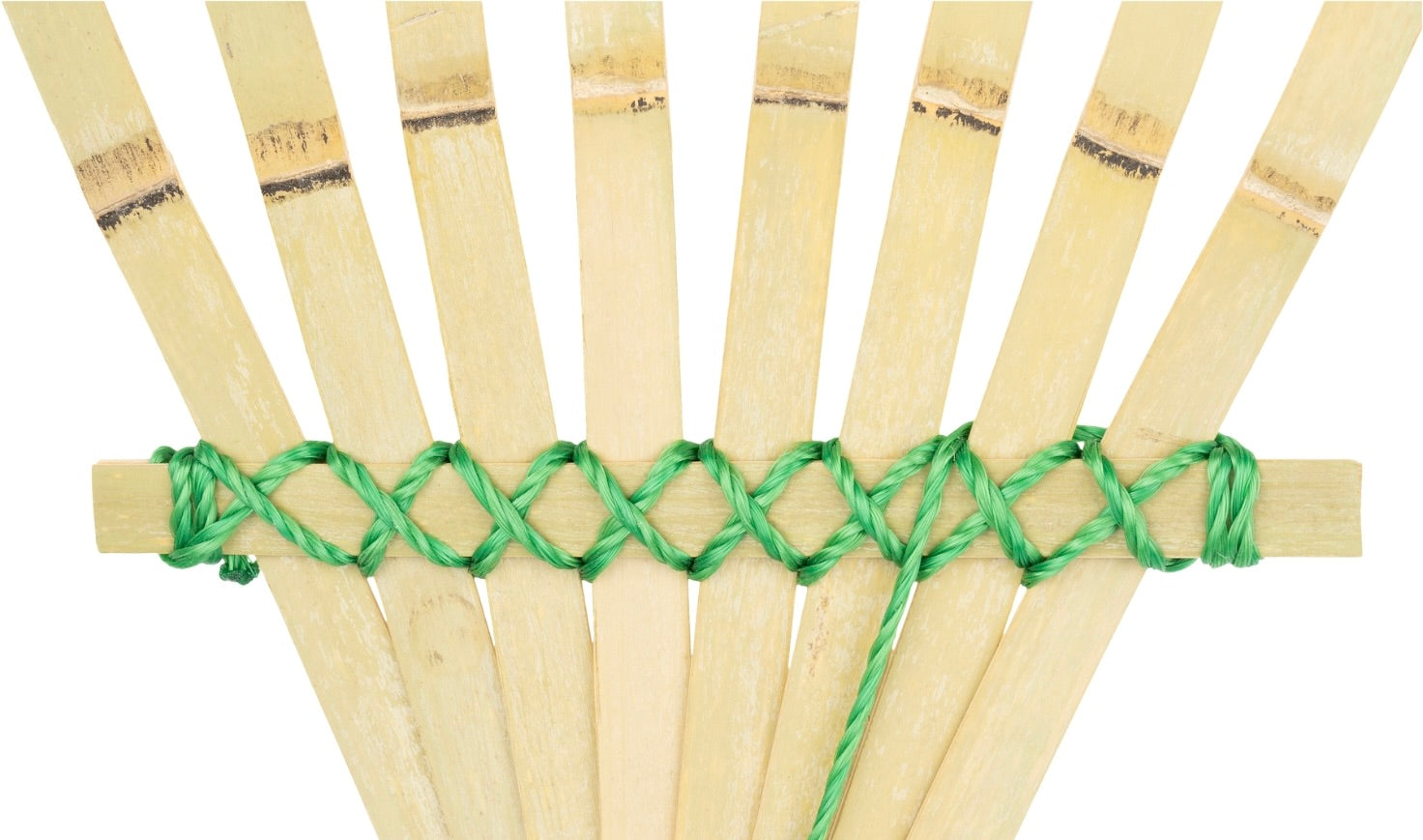 Mikki slanatore per Cani e Gatti Matt Master Rake - Rimuove i Nodi e Gli accumuli di Pelo - Slanatore districante per Animali Domestici - 8 Lame Mikki slanatore per Cani e Gatti Matt Master Rake - Rimuove i Nodi e Gli accumuli di Pelo - Slanatore districante per Animali Domestici - 8 Lame