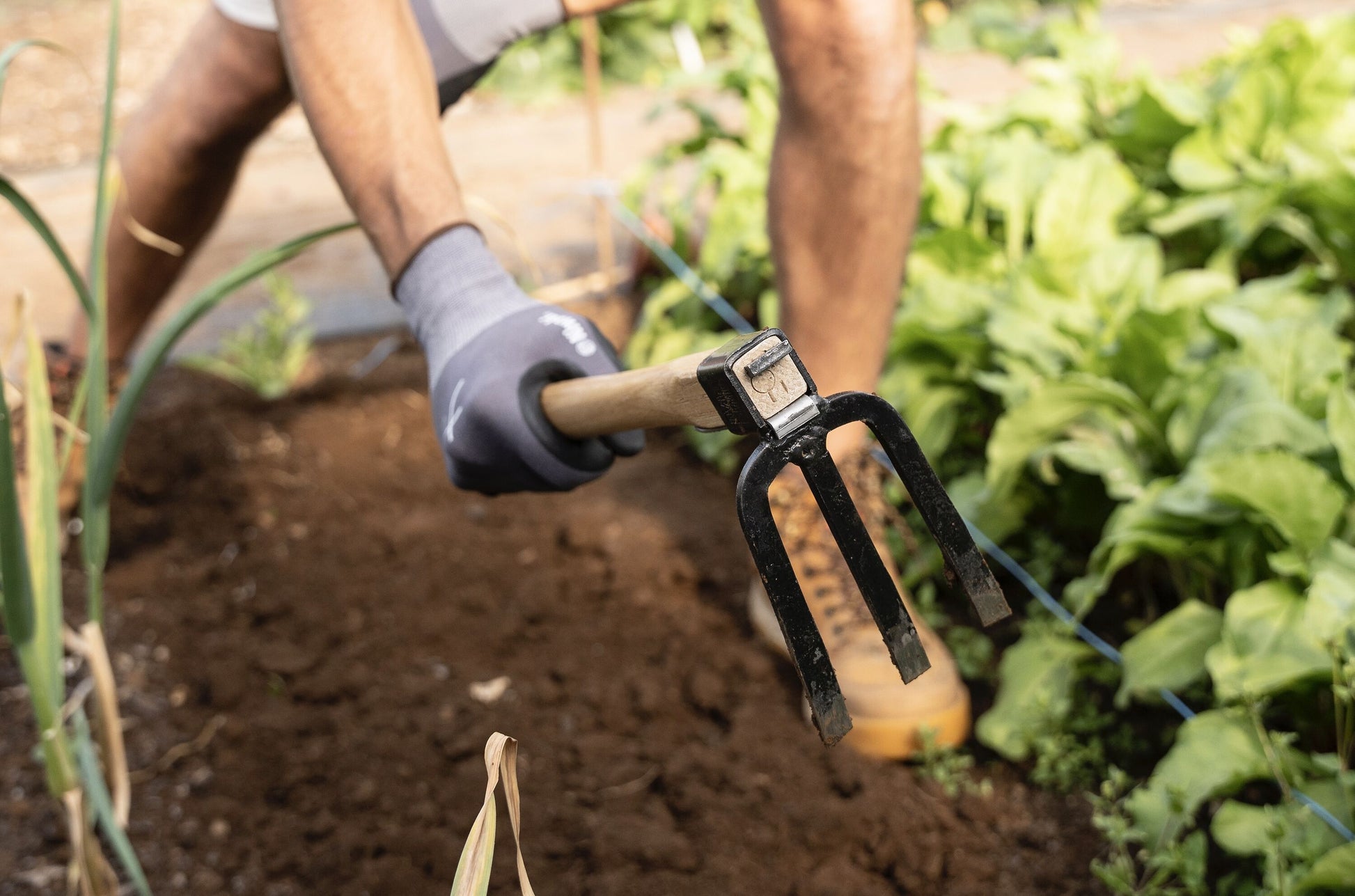 Person gardening with a fork in a garden setting