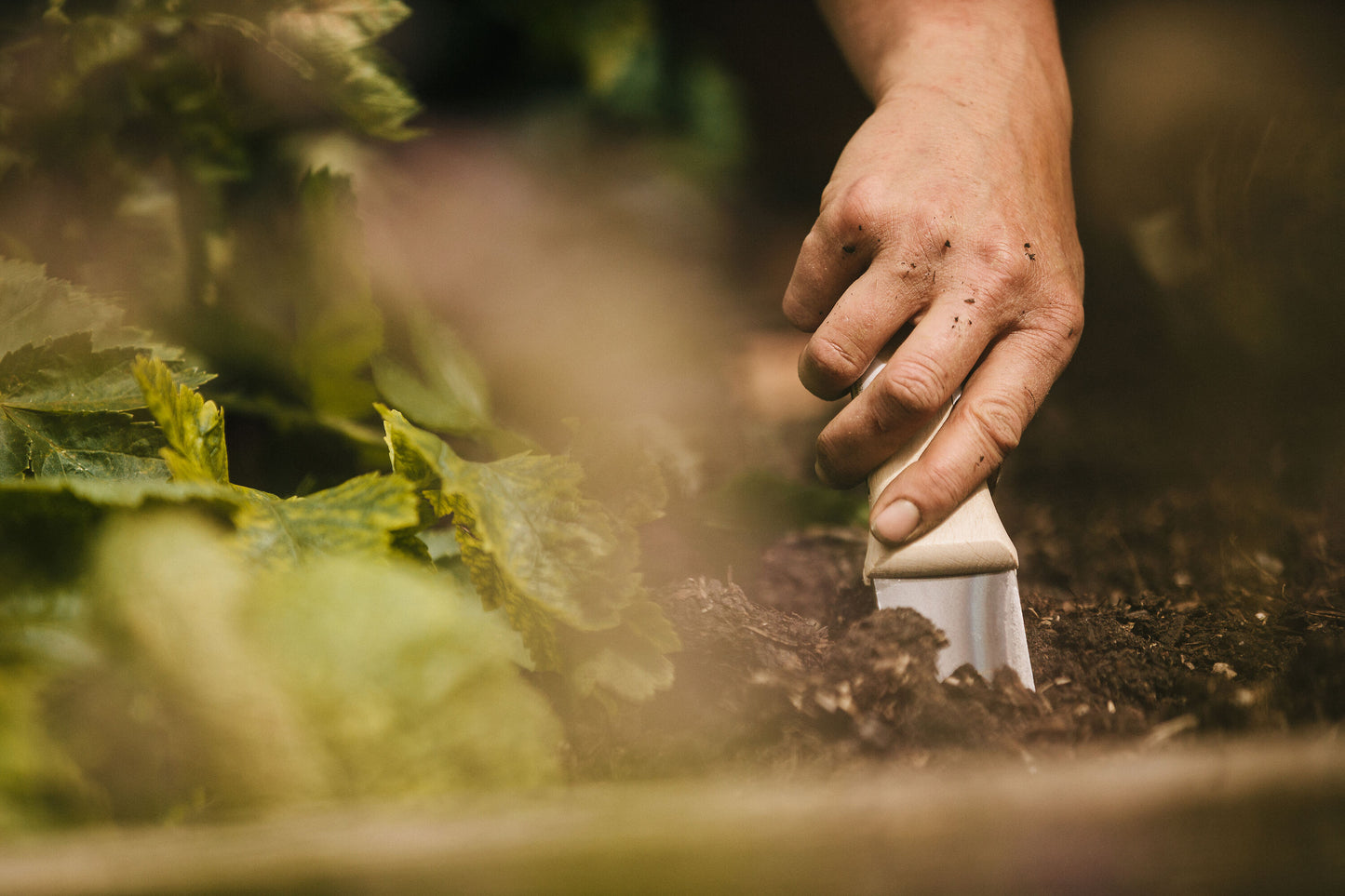 Niwaki Hori Hori with Canvas Sheath