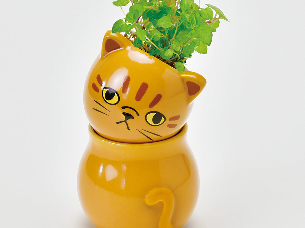 Noted Corocoro Cats Plant Growing Kit - White Cat (Wild Strawberry)