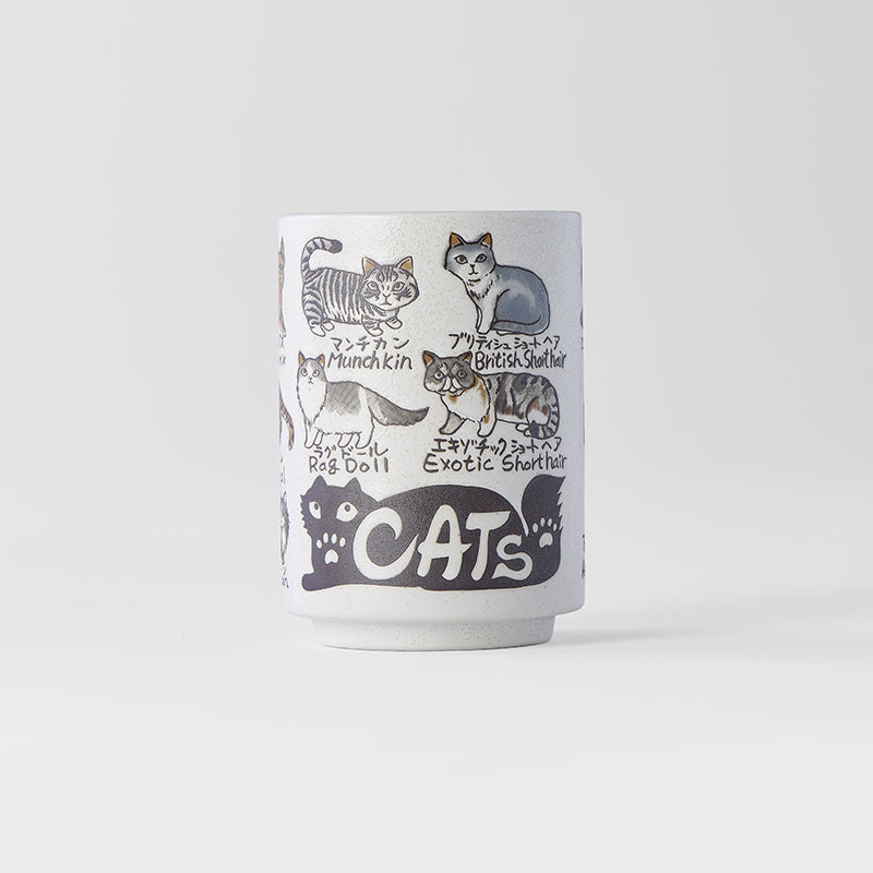 Sushi Train Mugs